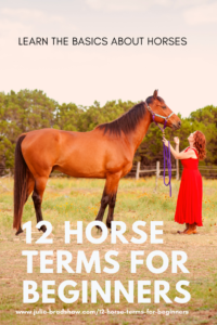 12 Horse Terms for Beginners