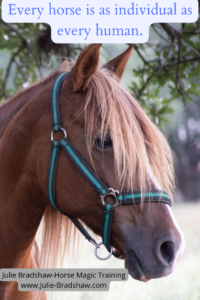 Every horse is as individual as every human, Julie Bradshaw Horse Magic Training