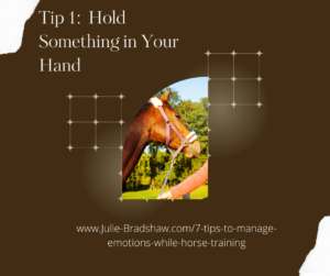 Tip 1 to Manage Emotions While Horse Training