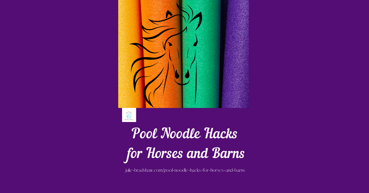 Read more about the article Pool Noodle Hacks for Horses and Barns