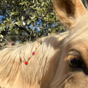 Red Agate and Rose Quartz Mane Beads