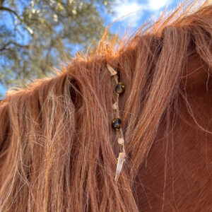 Tiger’s Eye and Citrine Mane Beads (Short)