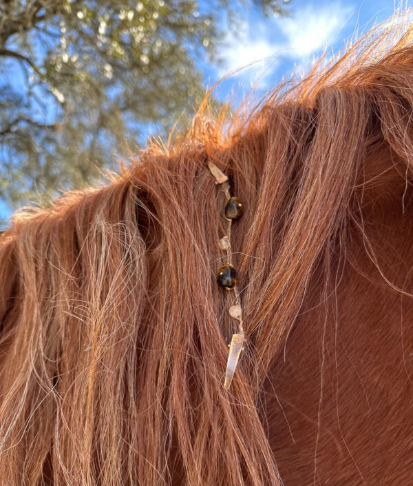 Tiger's Eye and Citrine Mane Beads on Sorrel Mane by Julie Bradshaw