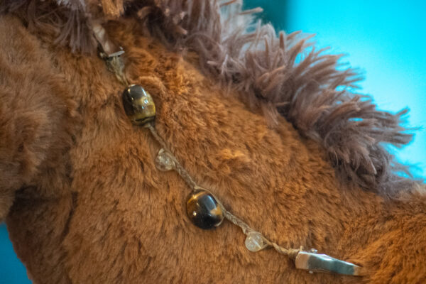 Tiger's Eye and Citrine Mane Beads by Julie Bradshaw