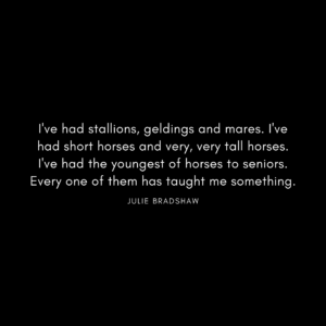 I've had stallions, geldings and mares.  I've had short horses and very, very tall horses.  I've had the youngest of horses to seniors.  Every one of them has taught me something.