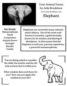 Example of PDF flyer provided in Animal Totem Service by Julie Bradshaw.  Text related to an elephant as an animal totem along with two images of elephants.