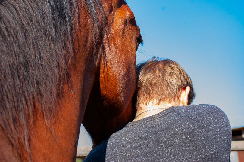 Man with short brown hair leans his head against head of bay horse, Solitude with Horses session