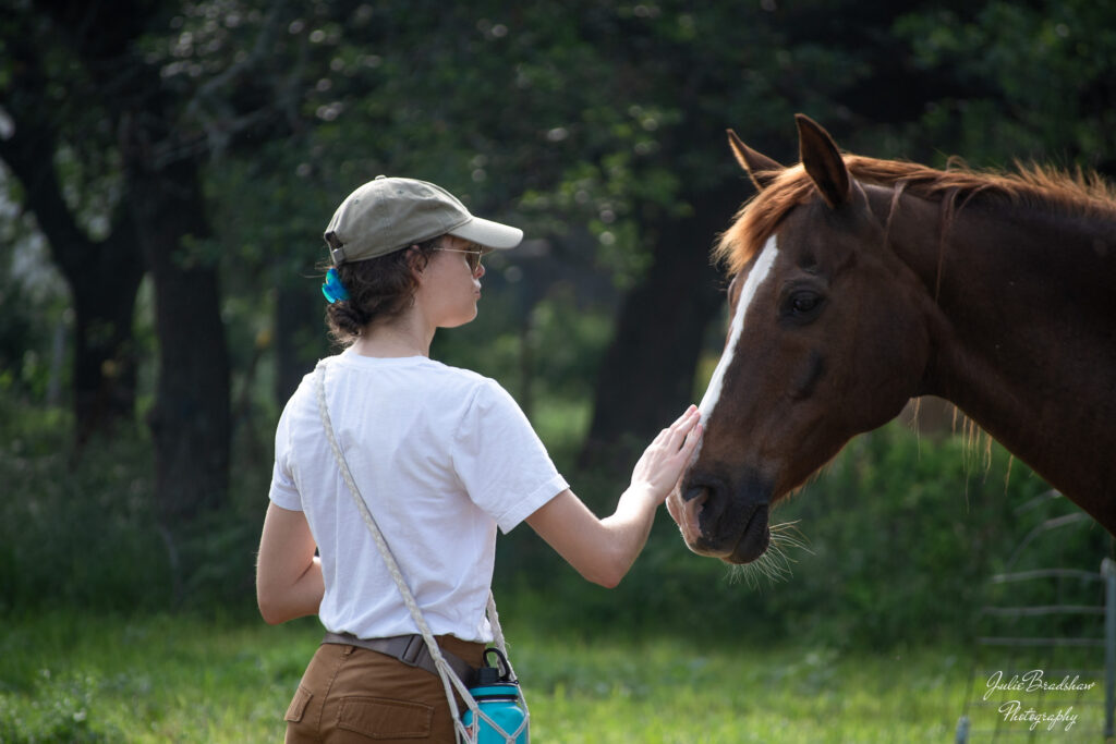 Young woman in white tshirt and brown cap petting face of chestnut horse with white blaze in Solitude with Horses session