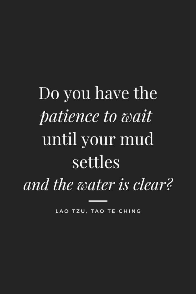 Horse Training 101: Do you have the patience to wait until your mud settles and the water is clear? Lao Tsu, Tao Te Ching.  Quote in white letters on black background.