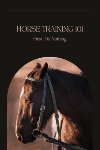 Read more about the article Horse Training 101: First, Do Nothing