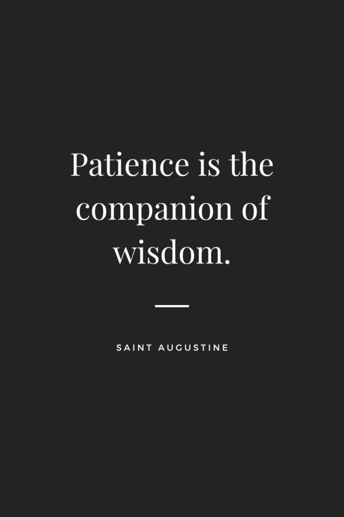 Horse Training 101: Patience is the companion of wisdom. Saint Augustine.  Quote in white text on black background.